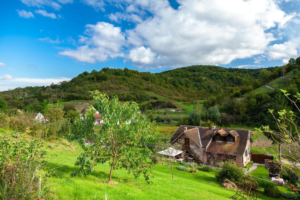 Гостевой дом Country House "Stricev Grunt" Stara Kapela Номер фото